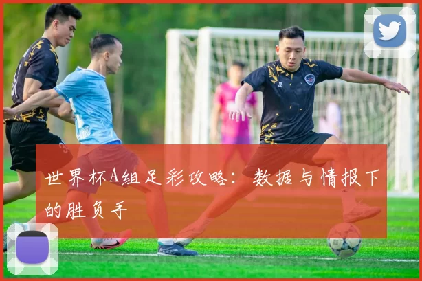 世界杯A组足彩攻略：数据与情报下的胜负手