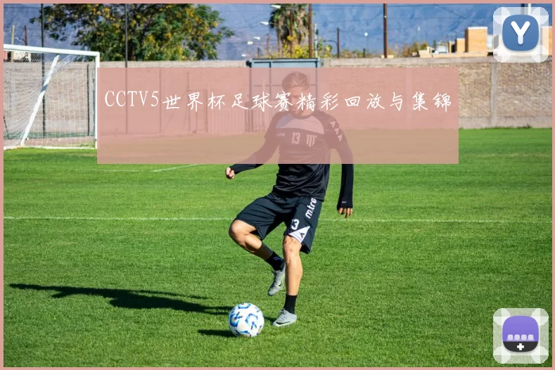 CCTV5世界杯足球赛精彩回放与集锦
