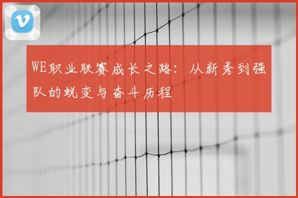 WE职业联赛成长之路:从新秀到强队的蜕变与奋斗历程