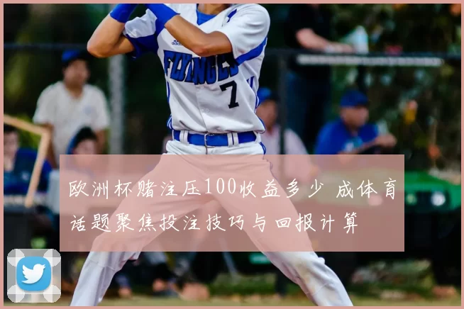 欧洲杯赌注压100收益多少 成体育话题聚焦投注技巧与回报计算