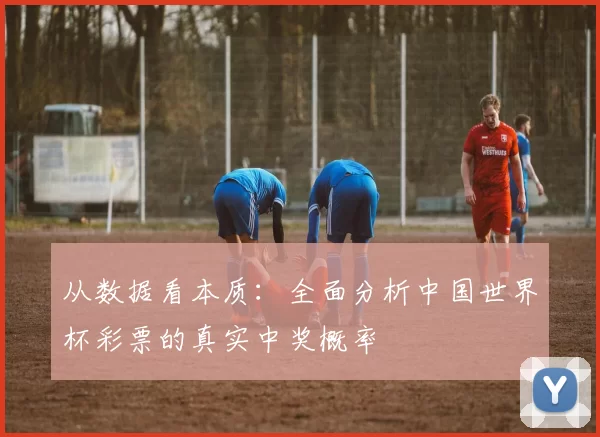 从数据看本质：全面分析中国世界杯彩票的真实中奖概率