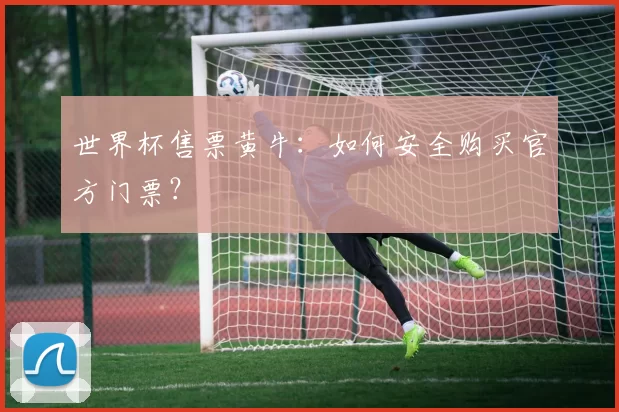 世界杯售票黄牛：如何安全购买官方门票？