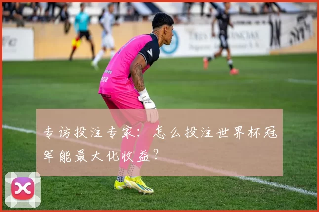 专访投注专家：怎么投注世界杯冠军能最大化收益？