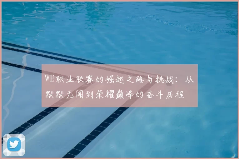 WE职业联赛的崛起之路与挑战：从默默无闻到荣耀巅峰的奋斗历程