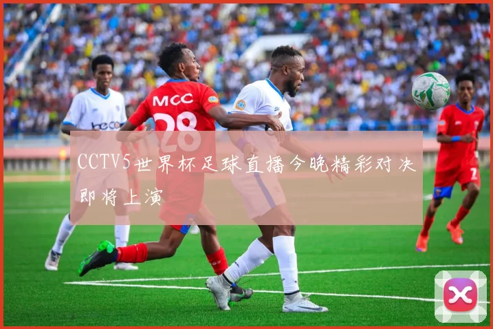 CCTV5世界杯足球直播今晚精彩对决即将上演