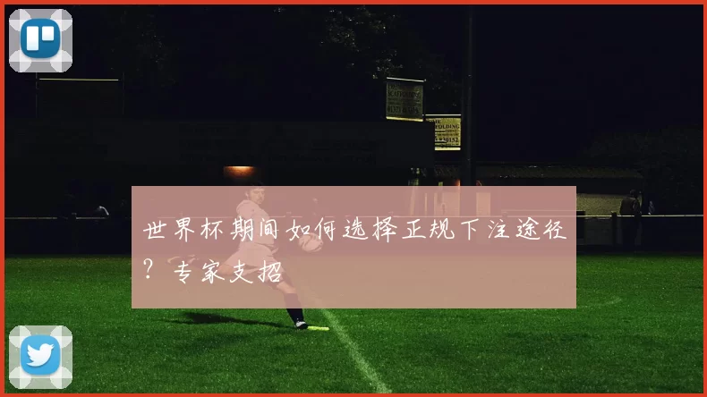 世界杯期间如何选择正规下注途径？专家支招