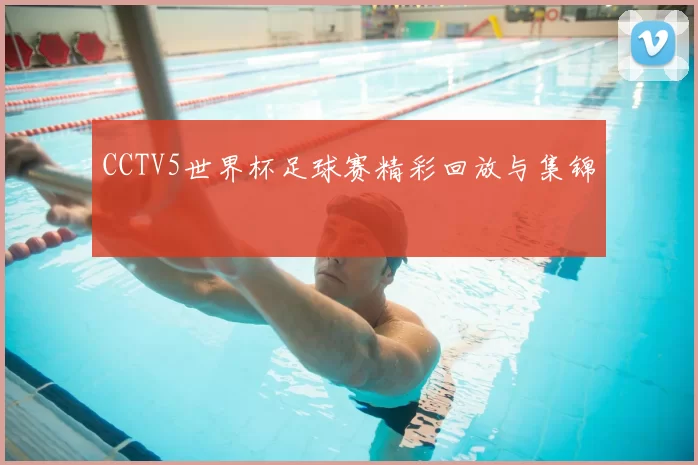 CCTV5世界杯足球赛精彩回放与集锦